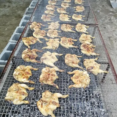 诺沃金朵雅酒店 酒店 阿奎泰尔梅